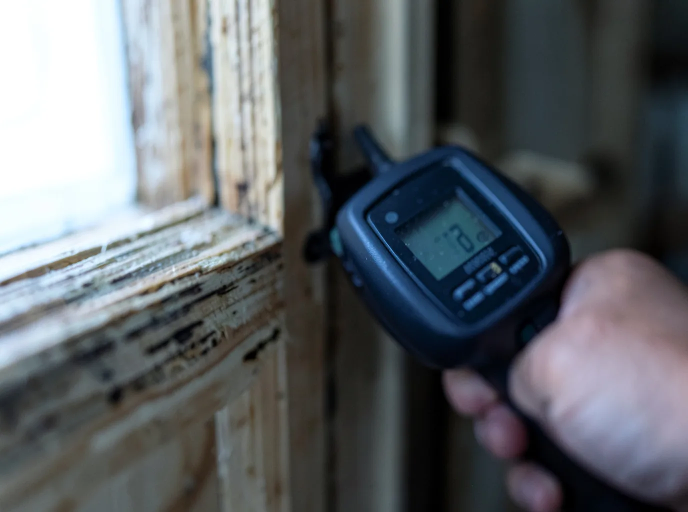 Moisture Inspection And Documentation in Hobart, WA